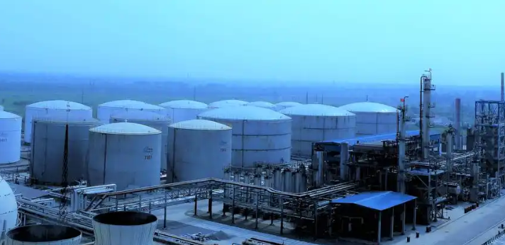 上海茄绿青网络科技流量变现策略与平台运营实战路径解析